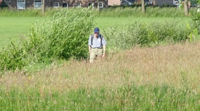 Singels en Essen wandeltocht (zondag 11 juni 2023)